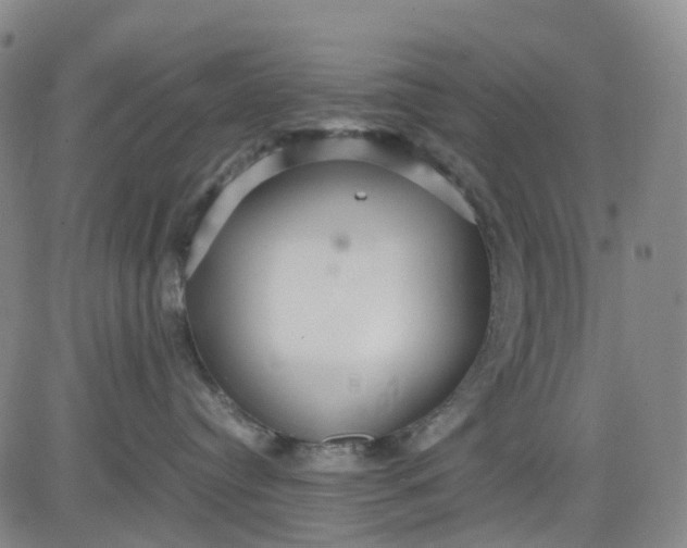 X0000080660384200612301341