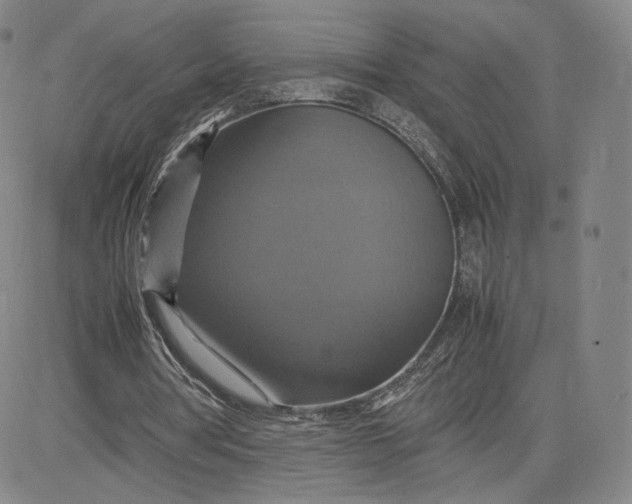 X0000080660386200612301340