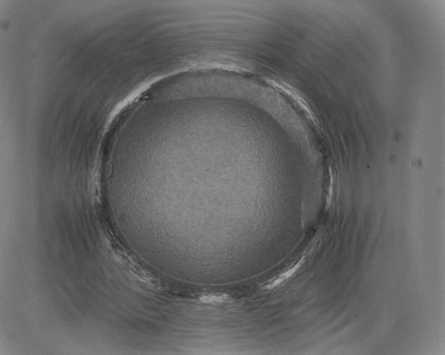 X0000080660388200612301340