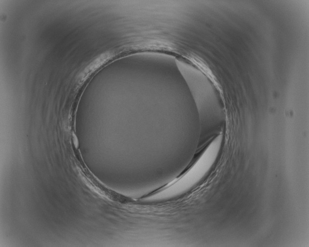 X0000080660389200612301340