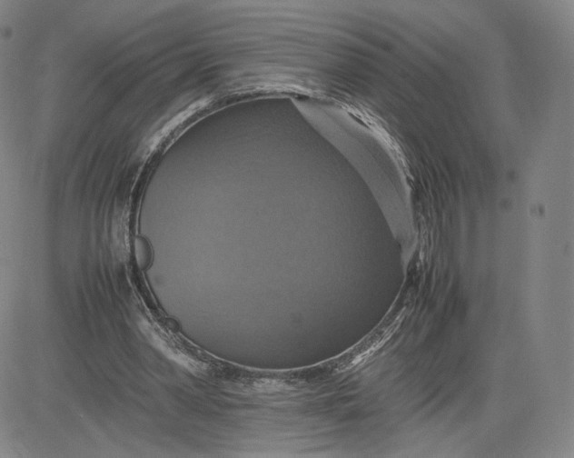 X0000080660390200612301340