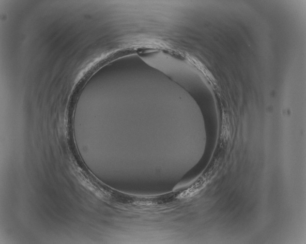 X0000080660391200612301340