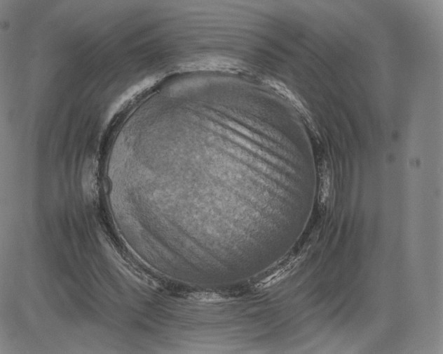 X0000080660392200612301340