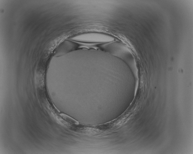 X0000080660393200612301340