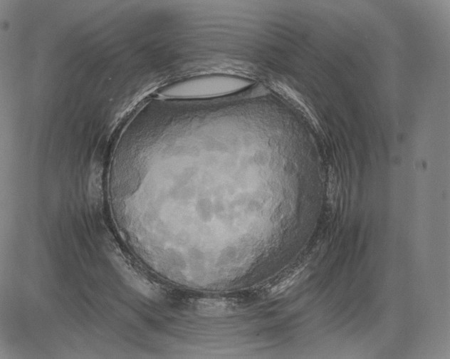 X0000080660394200612301340