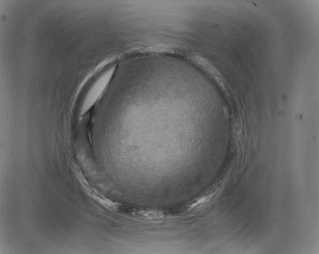 X0000080660395200612301340