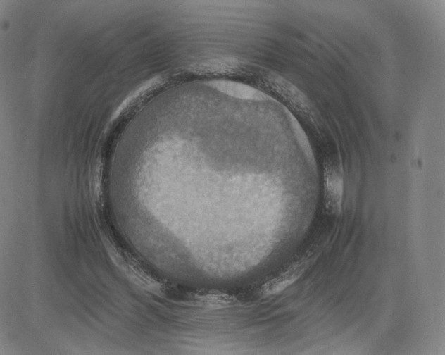 X0000080660396200612301340