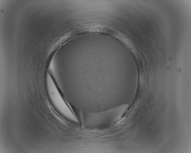 X0000080660397200612301340