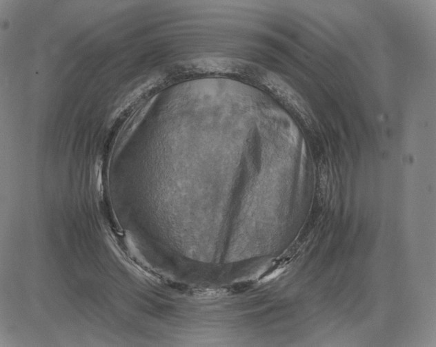 X0000080660398200612301340