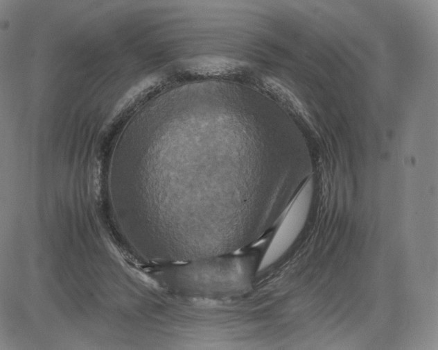 X0000080660400200612301340