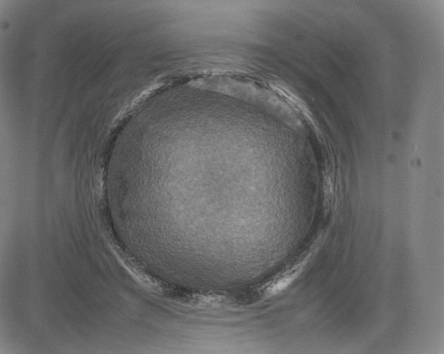 X0000080660401200612301340