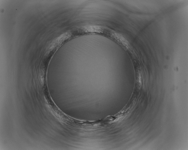 X0000080660402200612301340