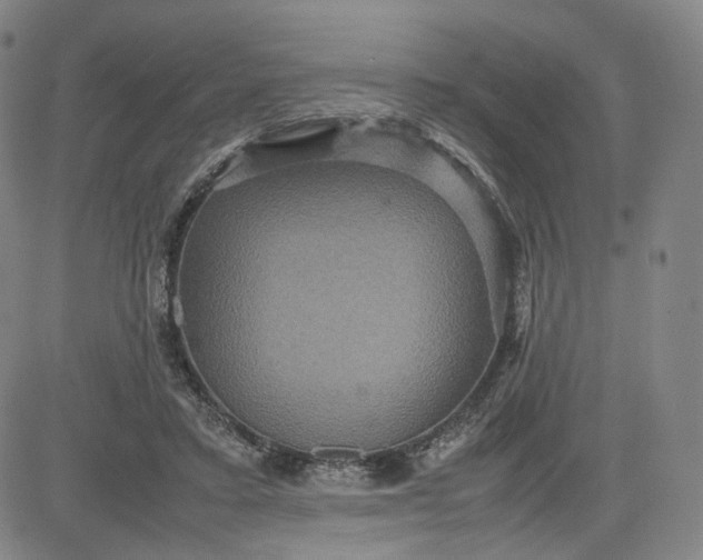 X0000080660403200612301340