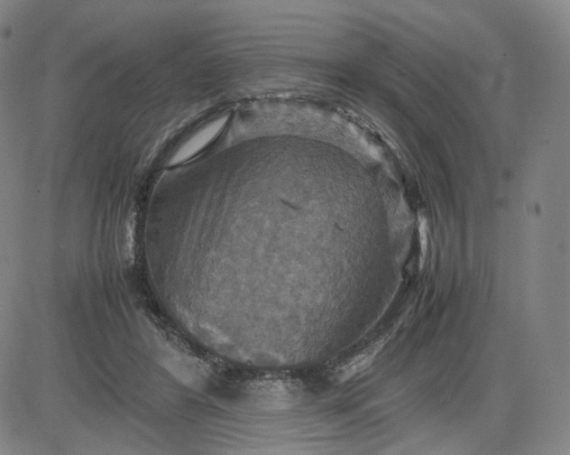 X0000080660404200612301340