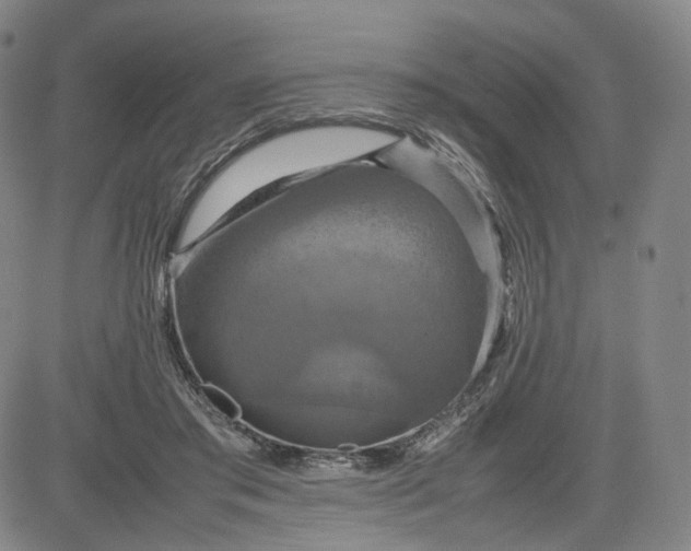 X0000080660405200612301340