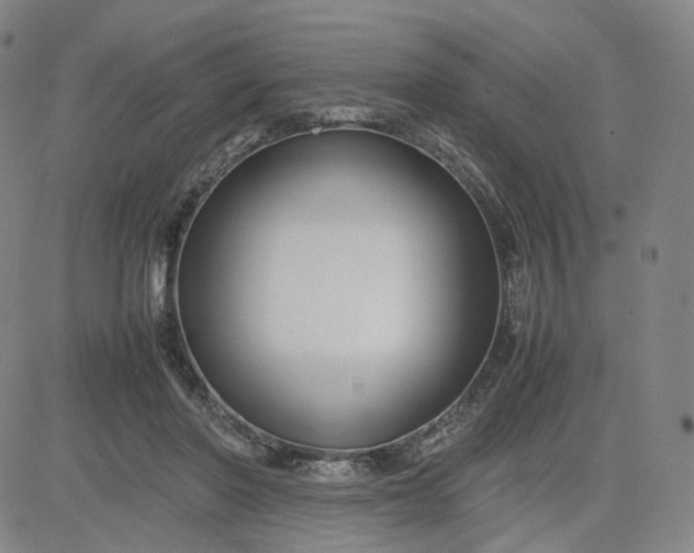 X0000080660406200612301340