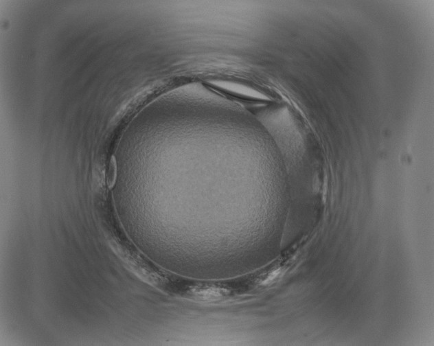 X0000080660407200612301340