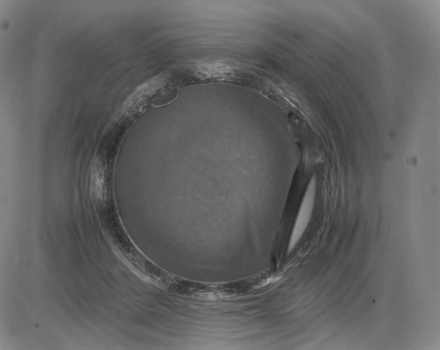 X0000080660408200612301340