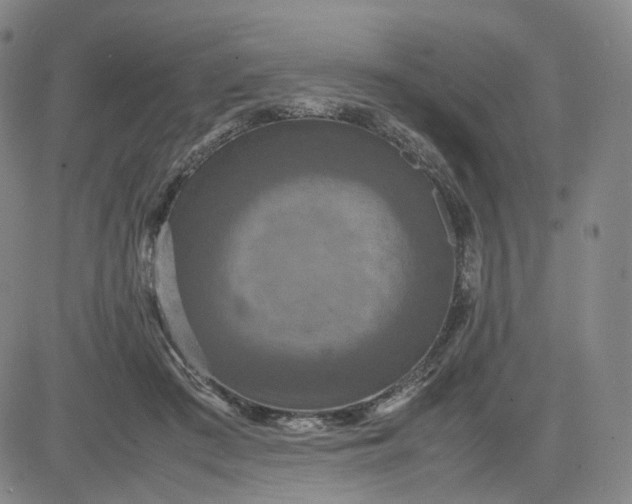 X0000080660409200612301340