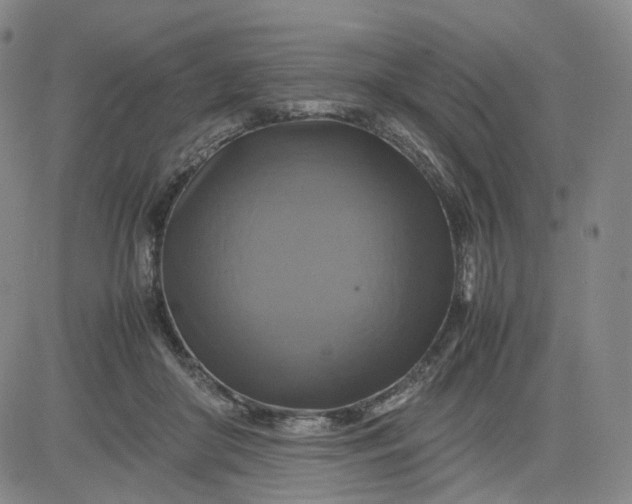 X0000080660410200612301340