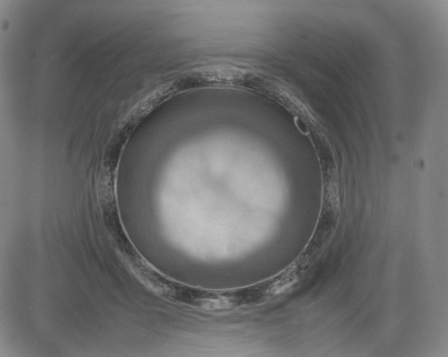 X0000080660411200612301340