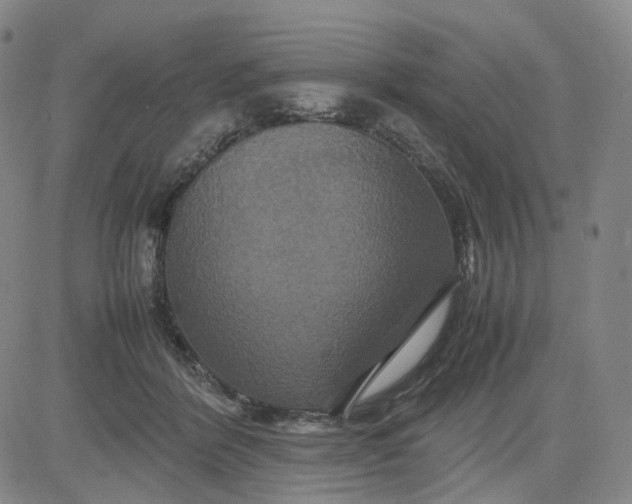 X0000080660412200612301340