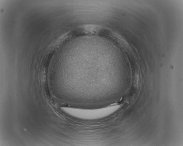 X0000080660413200612301340