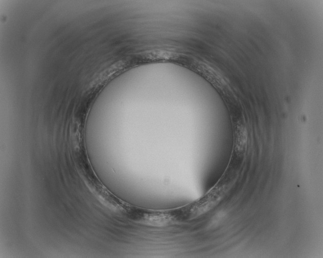 X0000080660414200612301340