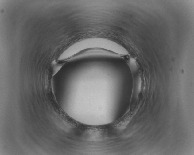 X0000080660416200612301340