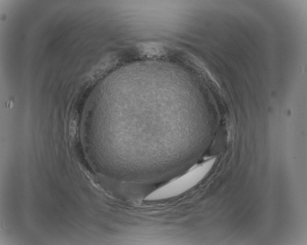 X0000080660417200612301340