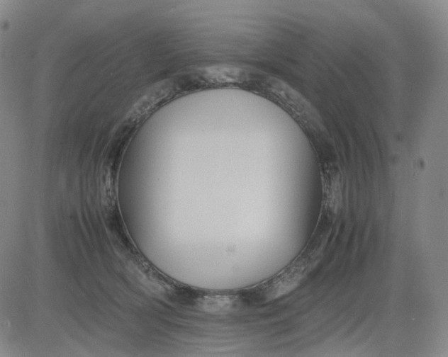 X0000080660418200612301340