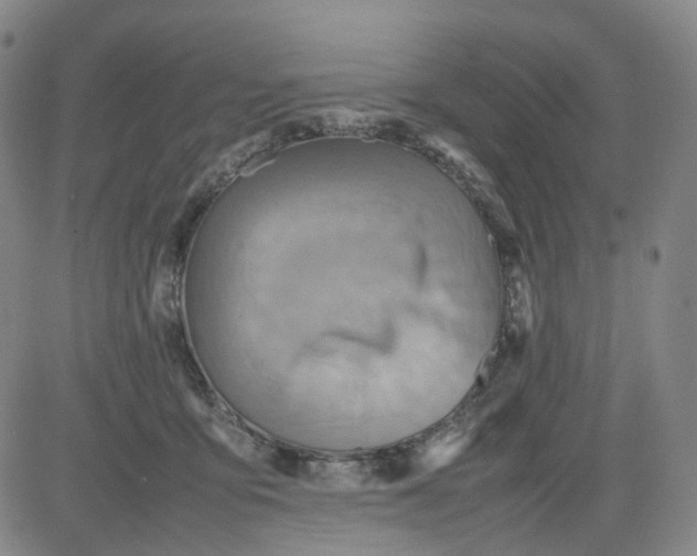 X0000080660419200612301340