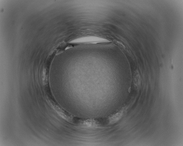 X0000080660420200612301340