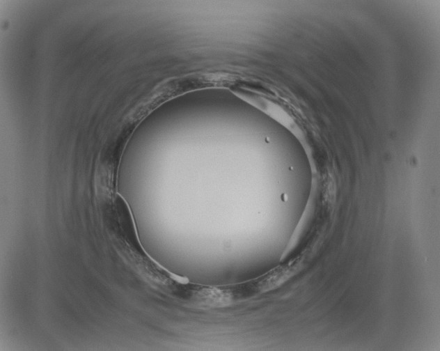 X0000080660421200612301340