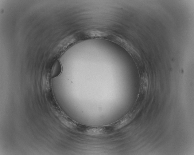 X0000080660422200612301340