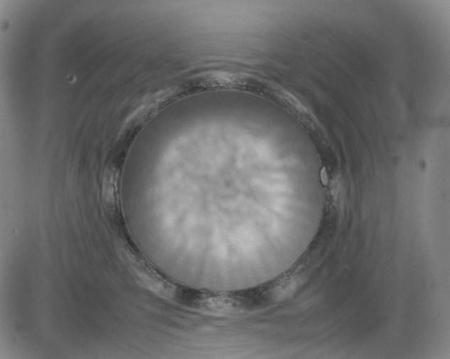 X0000080660423200612301340