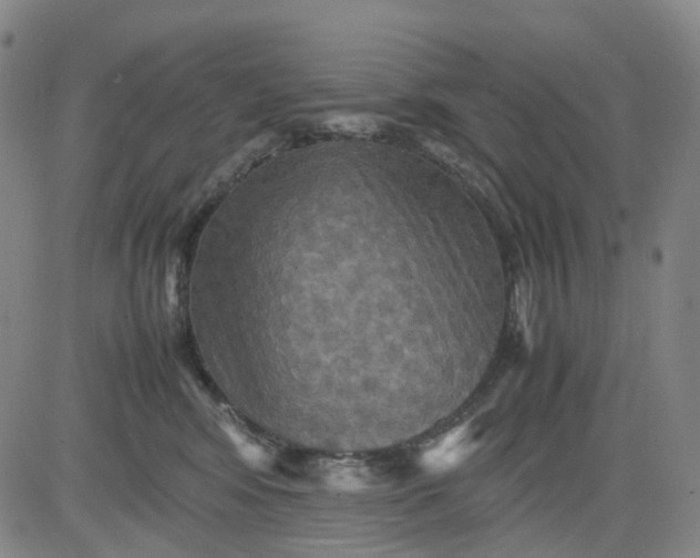 X0000080660424200612301340