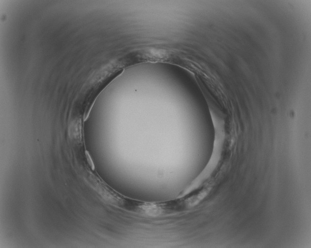 X0000080660425200612301340