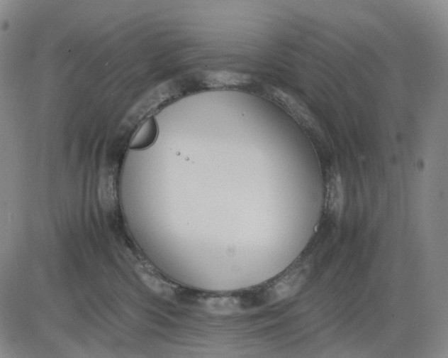 X0000080660426200612301340