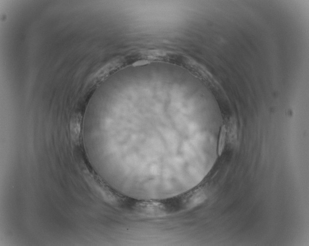 X0000080660427200612301340