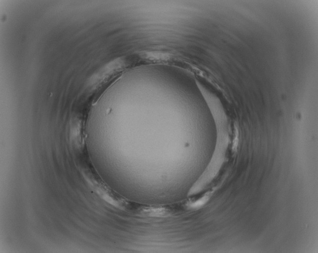 X0000080660428200612301340