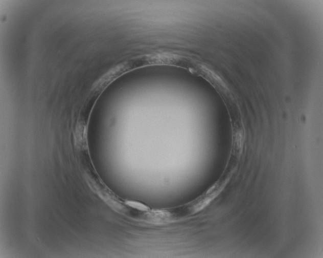 X0000080660429200612301340