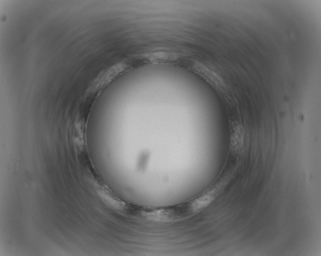 X0000080660430200612301340