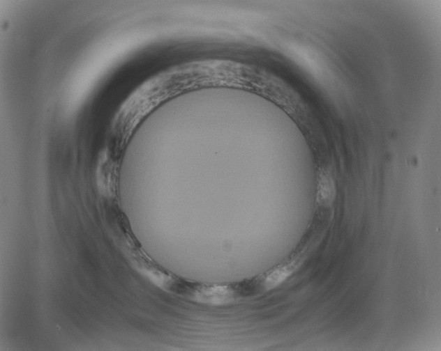 X0000080660431200612301340