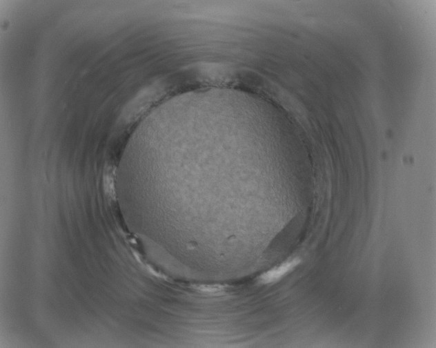 X0000080660432200612301340