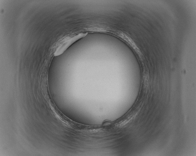 X0000080660433200612301339