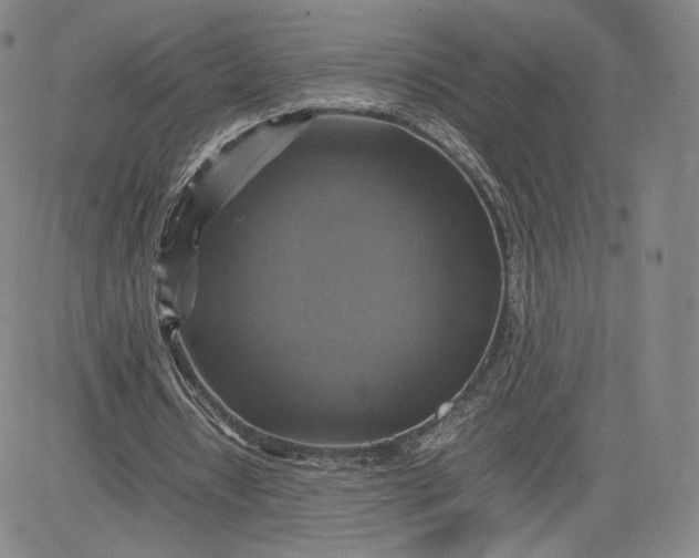 X0000080660434200612301339