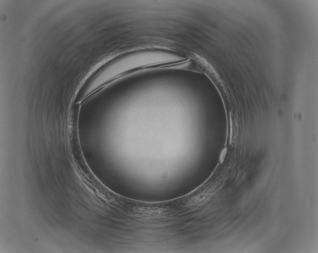 X0000080660435200612301339