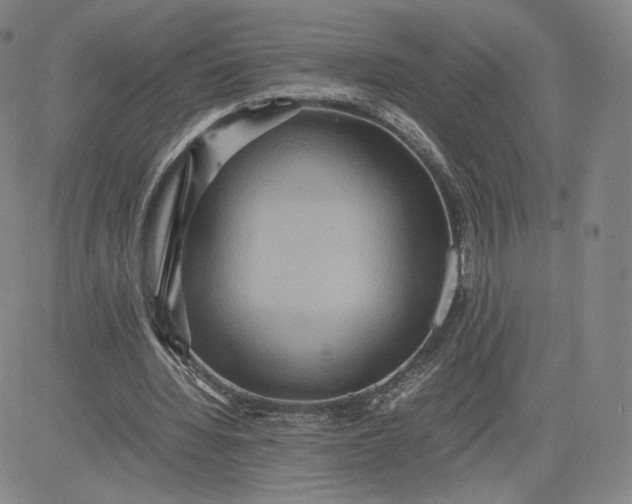 X0000080660436200612301339