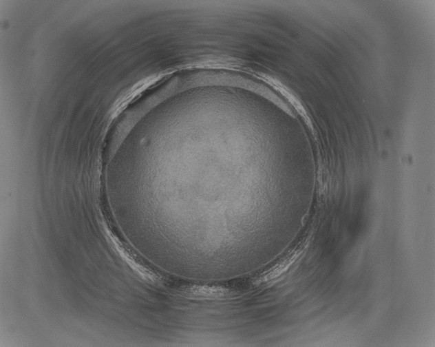 X0000080660437200612301339